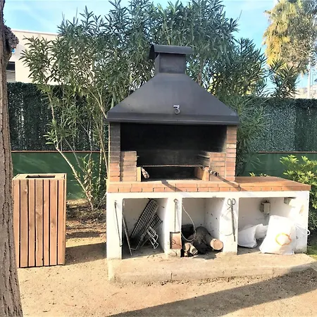 Palmeras En Platja d'Aro