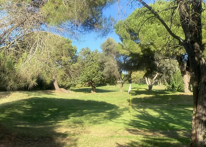 Palmeras En Lejlighed