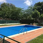 Palmeras En Appartement *
