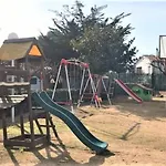 Palmeras En
