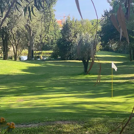 Palmeras En شقة *