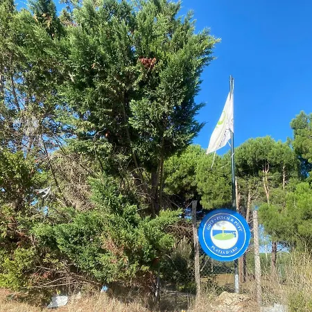 Palmeras En Apartamento Platja d'Aro