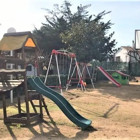 Palmeras En