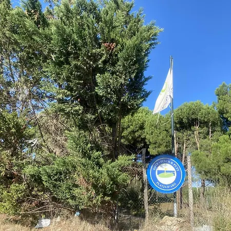 Palmeras By Rent Costa Brava *