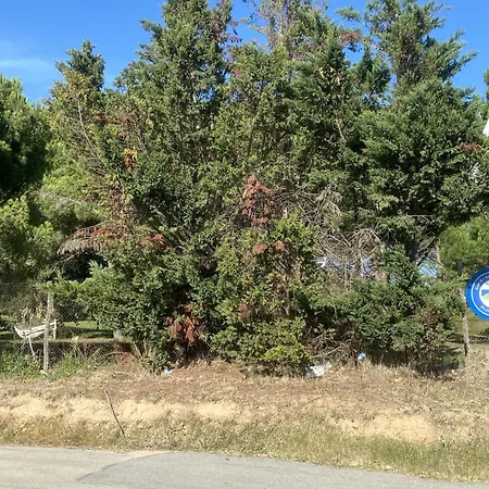 Palmeras By Rent Costa Brava