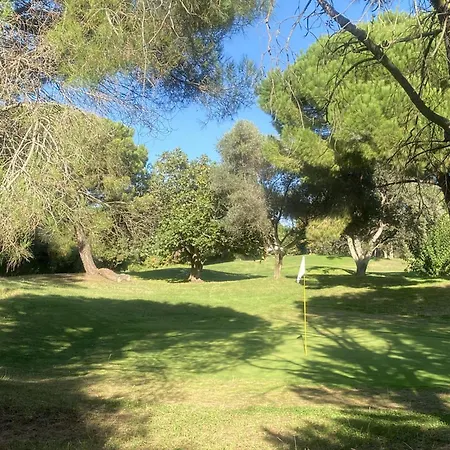 Palmeras En Apartman