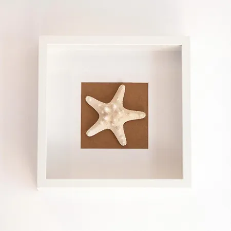 Apartamento Palmeras By Rent Costa Brava Platja d'Aro (Playa de Aro)