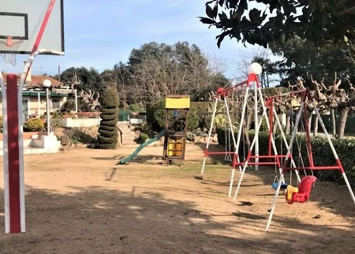 Palmeras En * Castell-Platja d’Aro