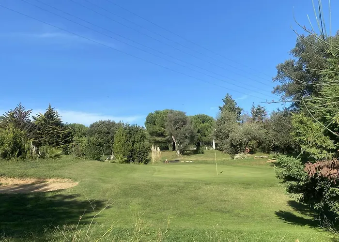 Palmeras En * Platja d'Aro