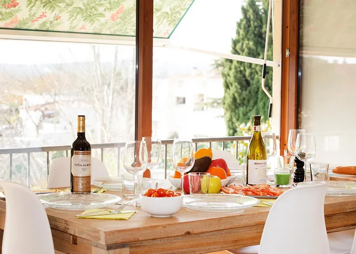 Palmeras En * Castell-Platja d’Aro