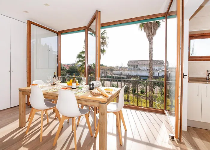 Palmeras En * Castell-Platja d’Aro